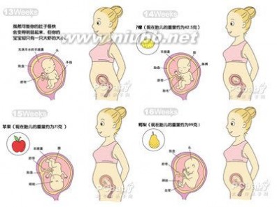 4个月胎儿图 怀孕4个月胎儿发育过程图