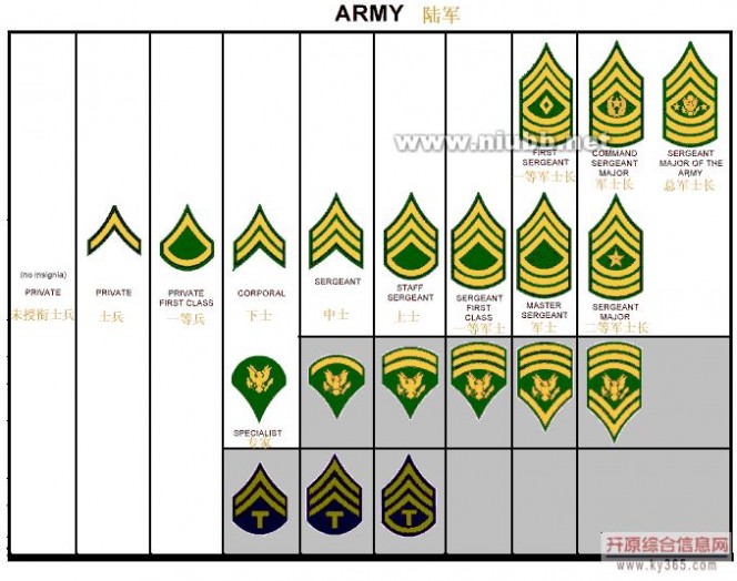 军衔系统介绍（图片版）
