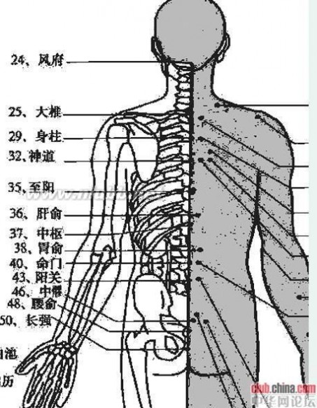 中医按摩师 中医人体穴位图及保健按摩方法