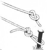 绳索 教你给绳索打结的方法