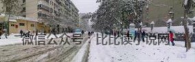 石家庄大雪 2009年的这场大雪（组图）