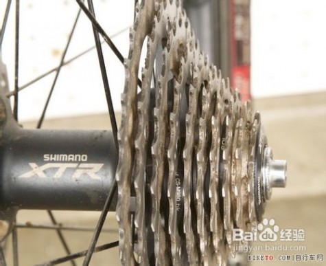 自行车飞轮 自行车飞轮的拆卸与安装
