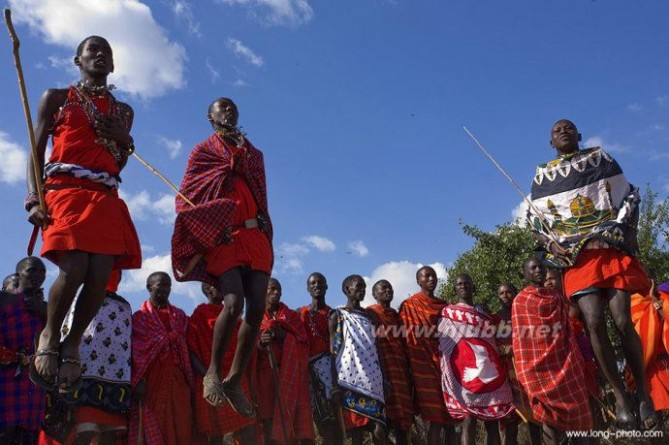 肯尼亚动物大迁徙摄影团——2014年最佳拍摄时间