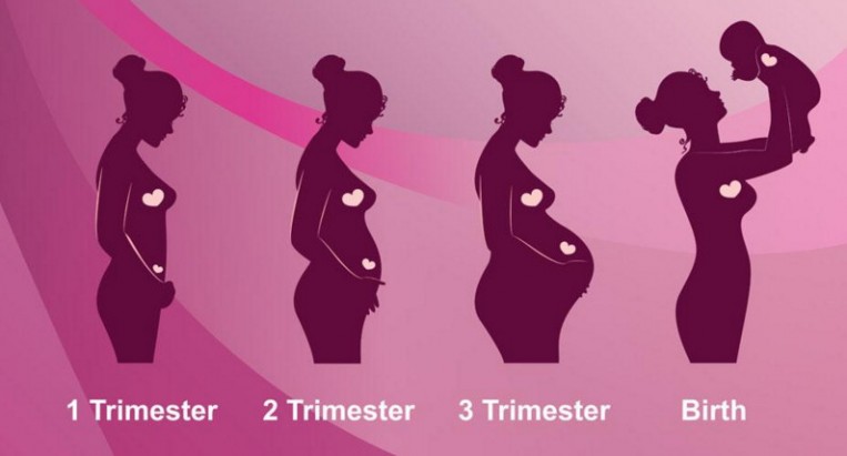 如何算怀孕周期