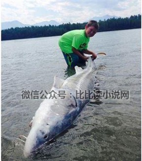 男孩捕500斤大鱼 外国一名10岁小男孩捕获272公斤大鱼后放生
