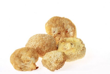 孕妇能吃猴头菇 孕妇可以吃猴头菇吗?