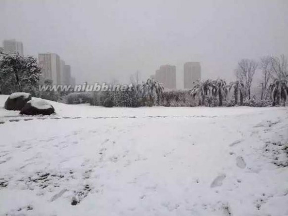 重庆下雪 2016重庆主城第一场雪，美成这样！（已刷爆朋友圈）