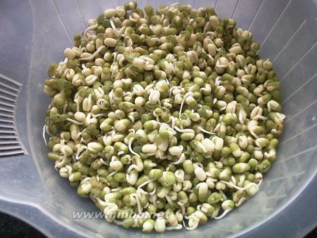 绿豆芽怎么发 自家发绿豆芽的做法，自家发绿豆芽怎么做好吃，自家发绿豆芽的家常做法