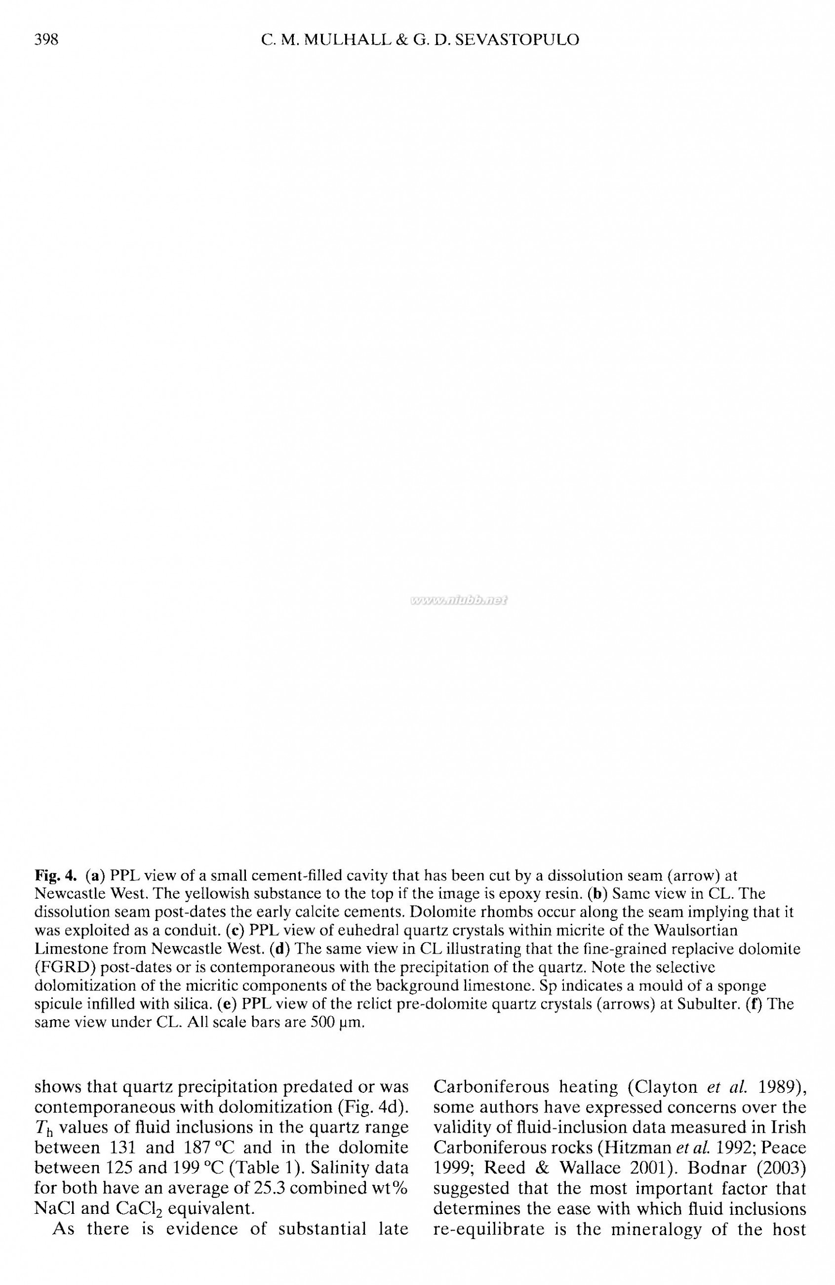 dolomite The geometry and petrogenesis of dolomite hydrocarbon reservoirs-3