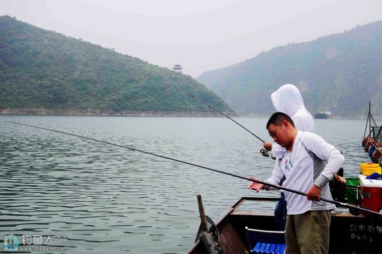 丹江水库 丹江水库觅大物 却拉清一色野生大板鲫爆护