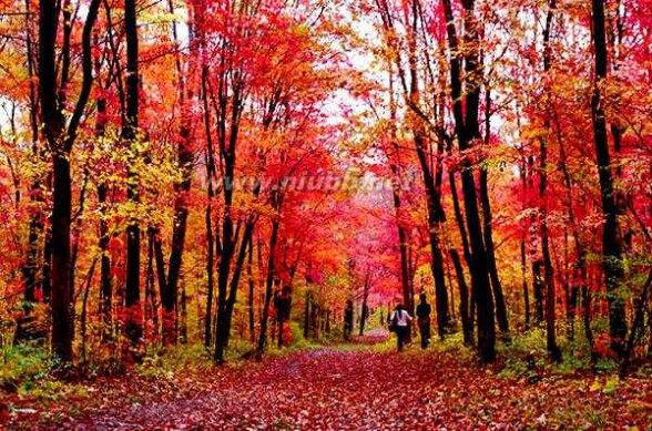 花色斑斓的意思 10月中国最美的地方 迷醉在色彩斑斓的金秋
