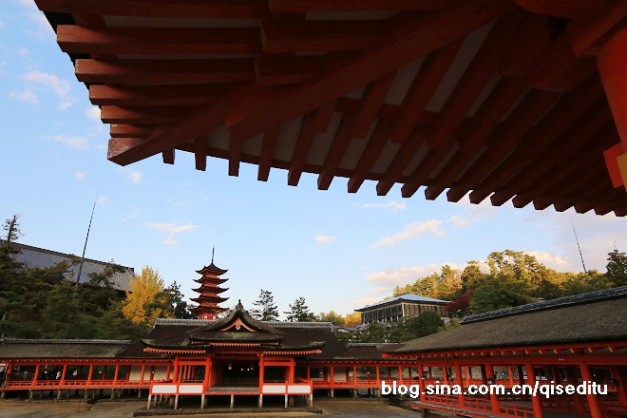 【日本】广岛，严岛神社与弥山彩林