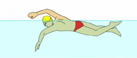 自由泳技巧 自由泳游泳技巧、自由泳呼吸技巧