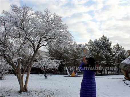 阿勒泰天气预报 新疆：阿勒泰地区大范围降雪天气