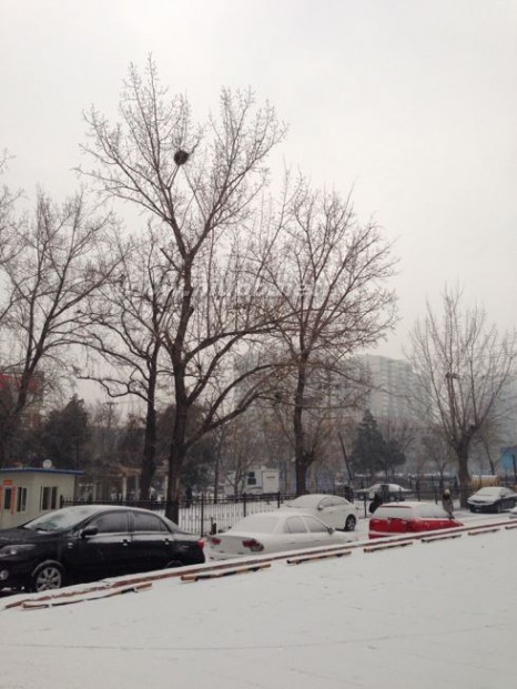 2014年北京第一场雪